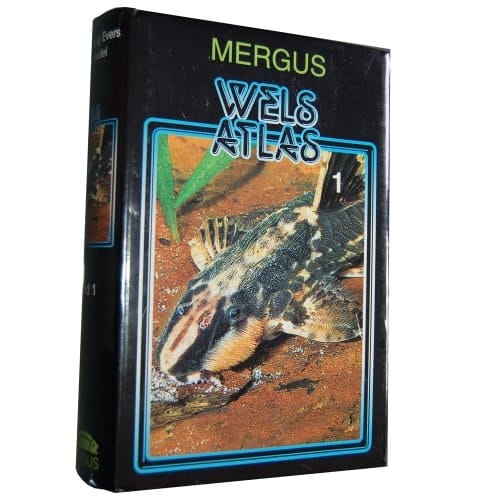 Wels Atlas Südamerikanische Welse der Familien Loricariidae, Cetopsidae, Nematogenyidae und Trichomycteridae