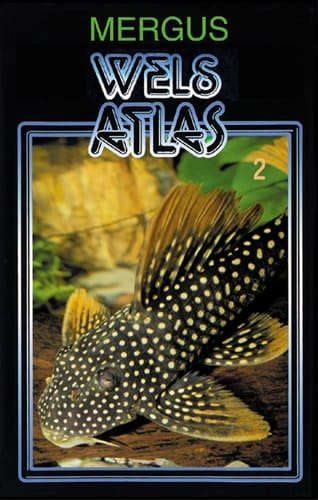 Wels-Atlas Hypostominen, Lithogeneinen und Neoplecostominen