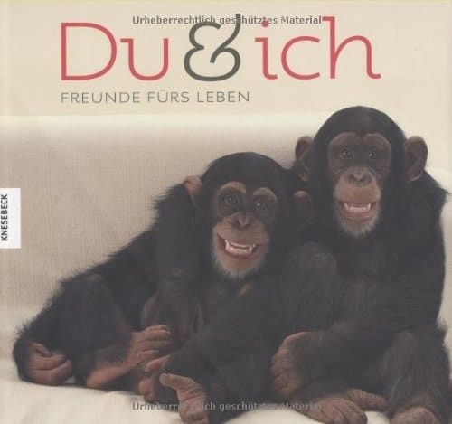 Du und ich Freunde fürs Leben