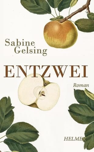 Entzwei Roman