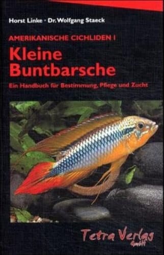 Amerikanische Cichliden Kleine Buntbarsche