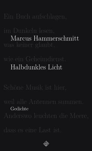 Halbdunkles Licht Gedichte