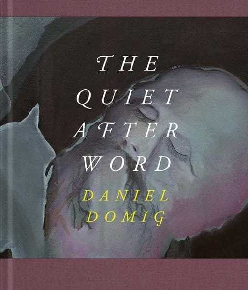 Daniel Domig the quiet after word; [im Städtischen Museum Engen + Galerie, May 9 - June 28, 2015]