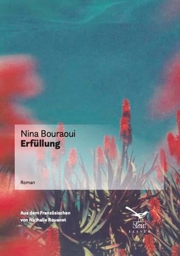 Erfüllung Roman