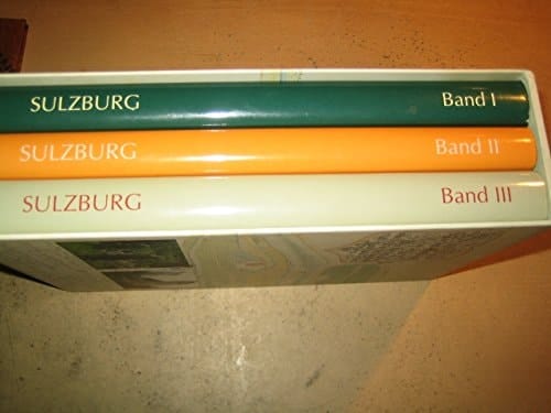 Geschichte der Stadt Sulzburg: Bemerkungen zur frühen Geschichte und zur frühen Neuzeit