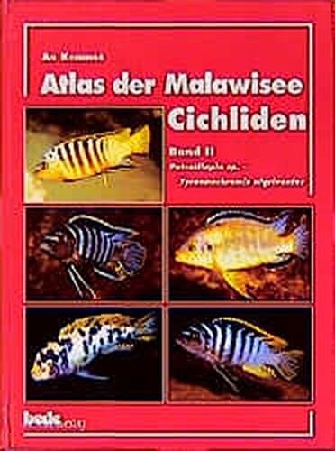 Atlas der Malawisee-Cichliden Petrotilapia sp. - Tyrannochromis nigriventer