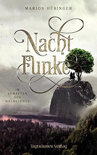 Nachtfunke 2 Im Schatten des Halblichts