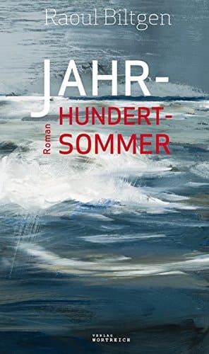 Jahrhundertsommer Roman
