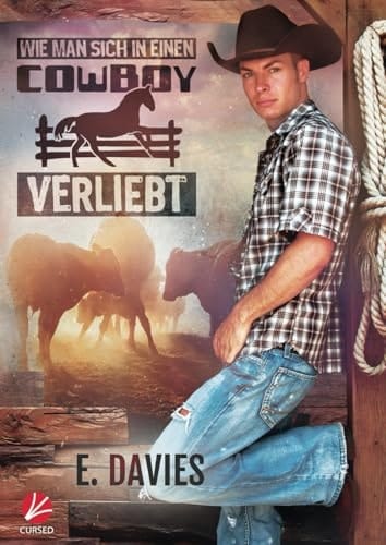 Wie man sich in einen Cowboy verliebt Roman