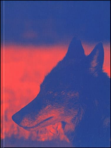 Das Wesen Von X Video Works 1993 - 2023