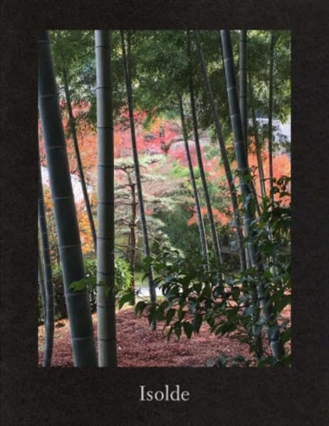 Isolde - Elizabeth Peyton Sadie Coles HQ, London, 14 January-20 February 2016