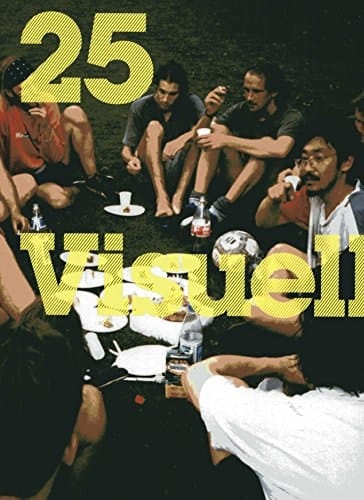 25 Visuell