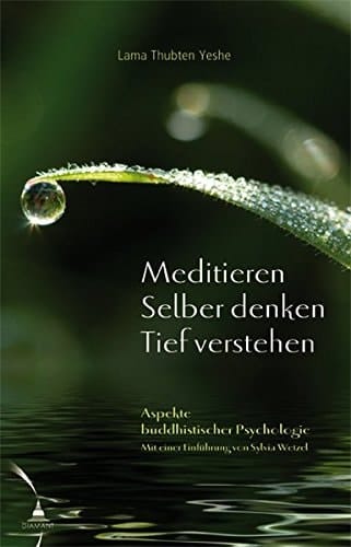 Meditieren. Selber denken. Tief verstehen Aspekte buddhistischer Psychologie