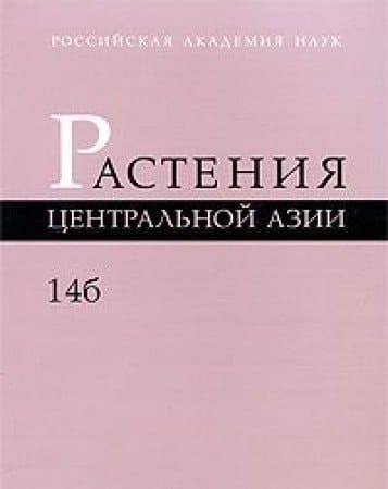 Сложноцветные (Цикориевые)