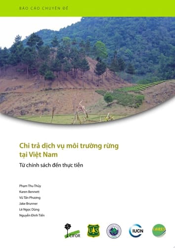 Chi trả dịch vụ môi trường rừng tại Việt Nam Từ chính sách đến thực tiễn