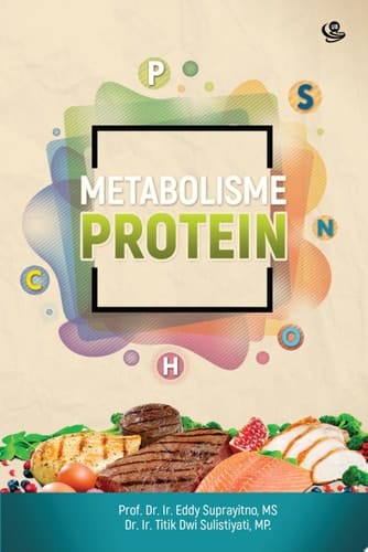 Metabolisme Protein