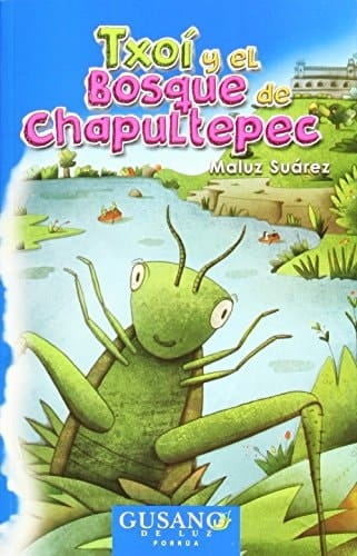 Txoi Y El Bosque De Chapultepec