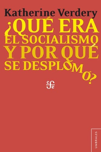 Que Era El Socialismo y Por Que Se Desplomo?