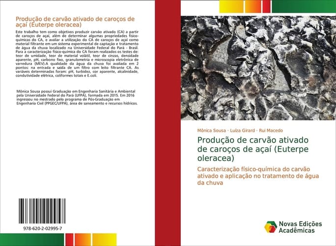 Produção de carvão ativado de caroços de açaí (Euterpe oleracea): Caracterização físico-química do carvão ativado e aplicação no tratamento de água da chuva (Portuguese Edition)
