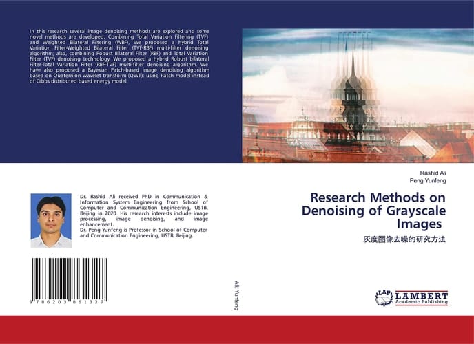 Research Methods on Denoising of Grayscale Images: 