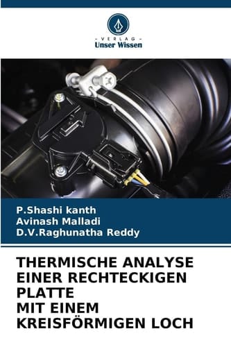Thermische Analyse Einer Rechteckigen Platte Mit Einem Kreisförmigen Loch (German Edition)