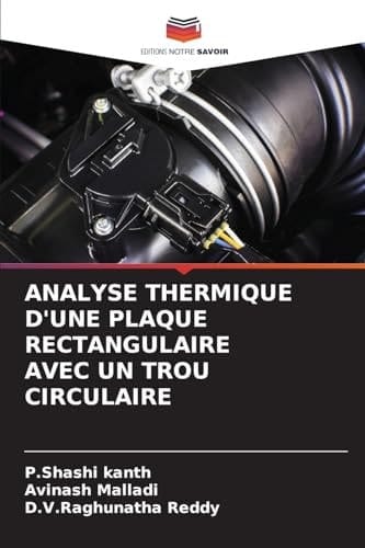 Analyse Thermique d'Une Plaque Rectangulaire Avec Un Trou Circulaire (French Edition)