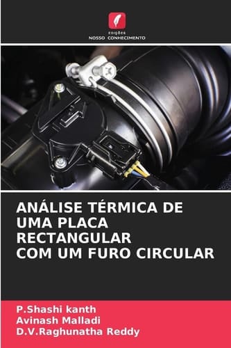 Análise Térmica de Uma Placa Rectangular Com Um Furo Circular (Portuguese Edition)