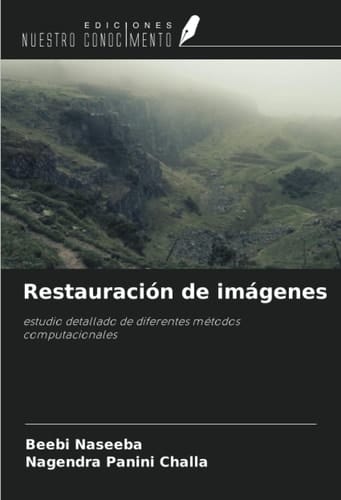 Restauración de imágenes: estudio detallado de diferentes métodos computacionales (Spanish Edition)