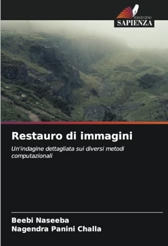 Restauro di immagini: Un'indagine dettagliata sui diversi metodi computazionali (Italian Edition)