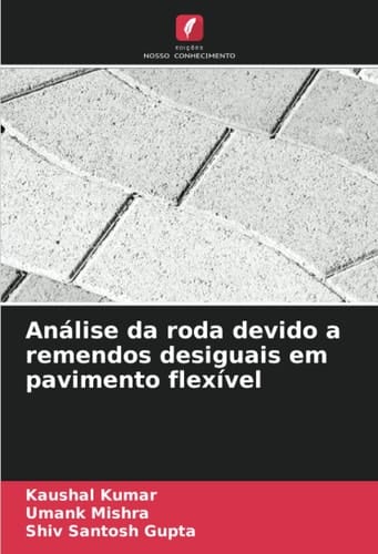 Análise da roda devido a remendos desiguais em pavimento flexível (Portuguese Edition)