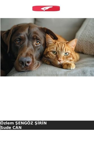 Ultrassonografia oftálmica em gatos e cães