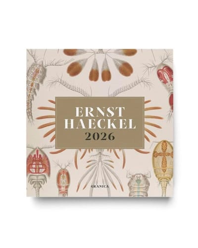 Ernst Haeckel 2026, Calendario de Pared