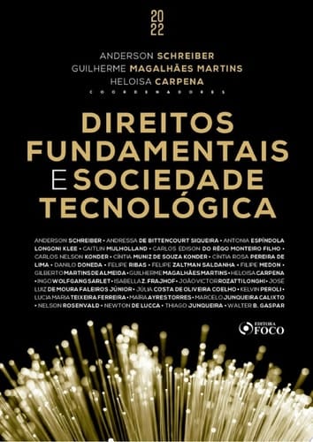 Direitos fundamentais e sociedade tecnológica