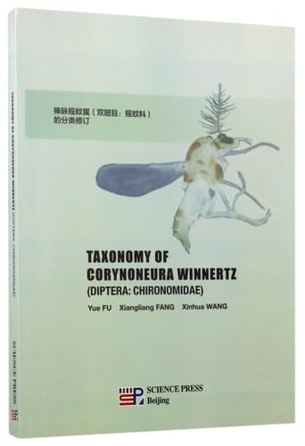Taxonomy of Corynoneura Winnertz - Diptera : Chironomidae