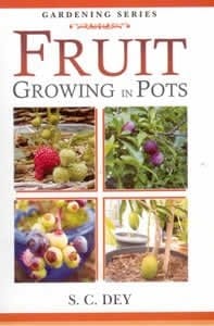 Fruit Growing in Pots