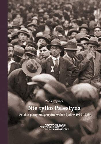 Nie tylko Palestyna polskie plany emigracyjne wobec Żydów 1935-1939