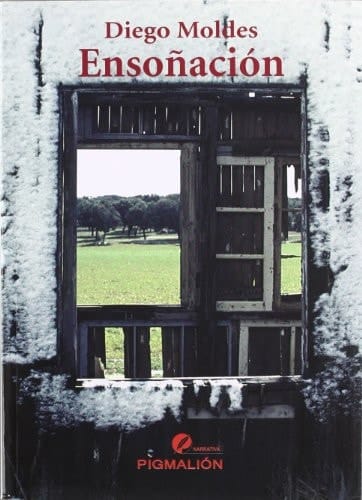 Ensoñación novela simbólica