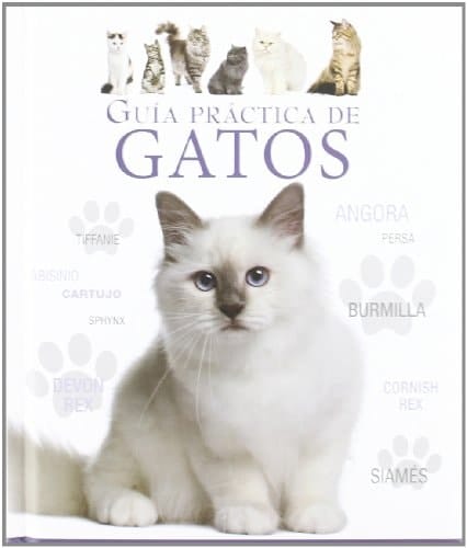guia practica de gatos