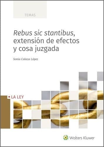 Rebus sic stantibus : extensión de efectos y cosa juzgada