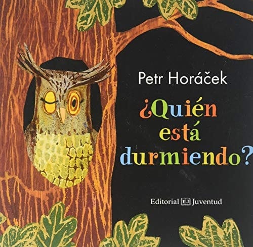 ¿Quién está durmiendo?