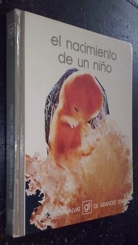 El nacimiento de un niño