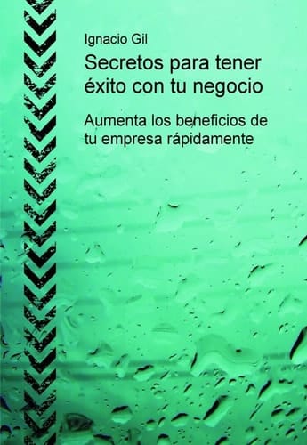 Secretos para tener éxito con tu negocio: Aumenta los beneficios de tu empresa rápidamente (Spanish Edition)