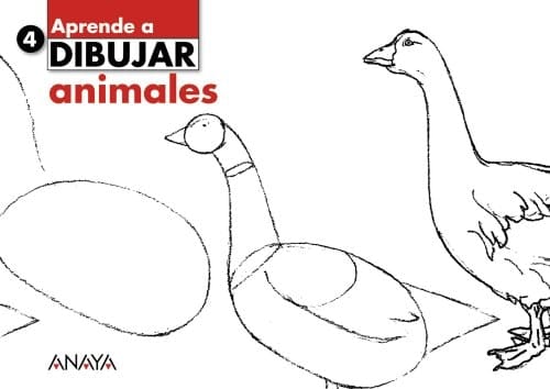 4. Animales.