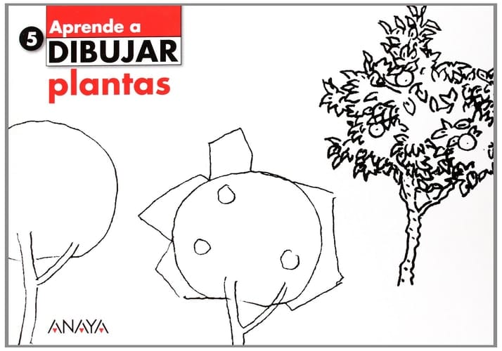 5. Plantas.