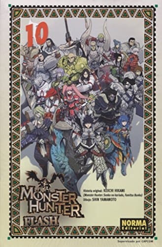 Monster hunter flash 10