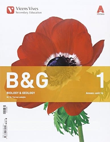 B&G 1 TRIM+ 3CD'S+ANNEX GROUP B 3D CLASS
