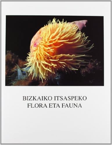 Flora y fauna submarina de Bizkaia