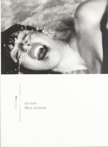 Burt Barr obra reciente : Espacio Uno, Museo Nacional Centro de Arte Reina Sofía, [5 de marzo al 14 de abril de 2002].