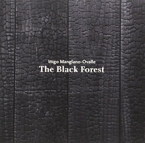 The black forest Museo Universidad de Navarra : [22 enero-21 julio, 2015]