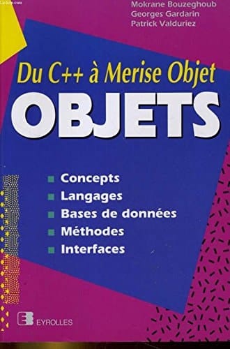 Objetos conceptos, lenguajes, bases de datos, métodos, interfaces